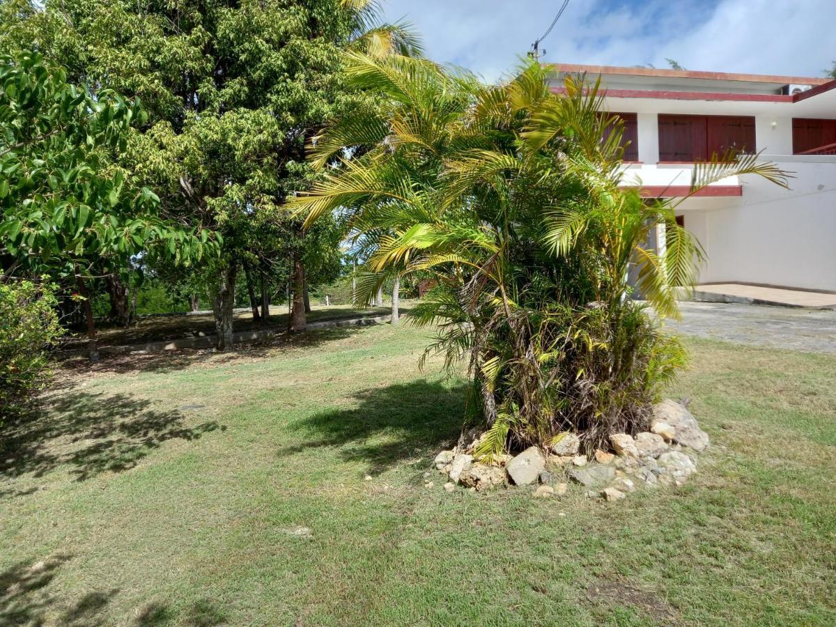 Villa Marie-Clotilde Sainte-Anne  Exterior foto